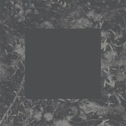 Poisoned Soil