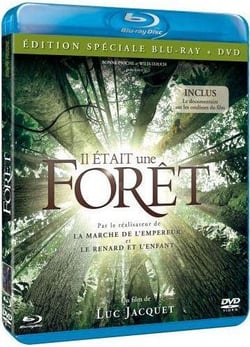 Il était une forêt