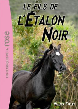 L'étalon noir Tome 4 : le fils de l'étalon noir