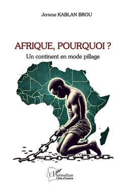 Afrique, pourquoi? Un continent en mode pillage