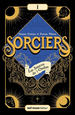 Sorciers Tome 1 : les sources de l'ombre