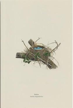 Carnet merle d'amerique (robin, turdus migratorius)
