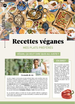 Mes recettes véganes : mes plats préférés