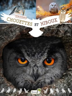Chouettes et hiboux