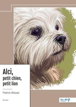 Alci, petit chien, petit lion