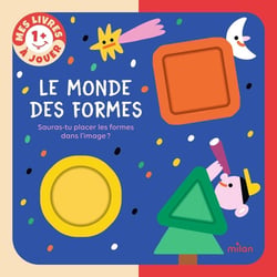 Mes livres à jouer : Le monde des formes : Sauras-tu placer les formes dans l'image ?