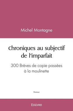 Chroniques au subjectif de l'imparfait - 300 breves de copie passees a la moulinette