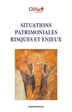 Situations patrimoniales - risques et enjeux