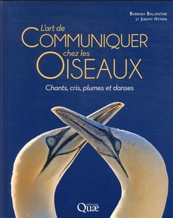 L'art de communiquer chez les oiseaux : chants, cris, plumes et danses