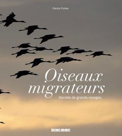 Les oiseaux migrateurs