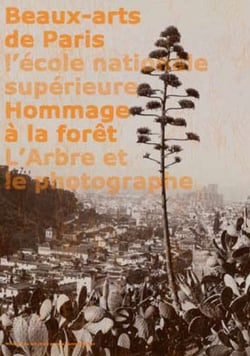 Hommage à la forêt - l'arbre et le photographe