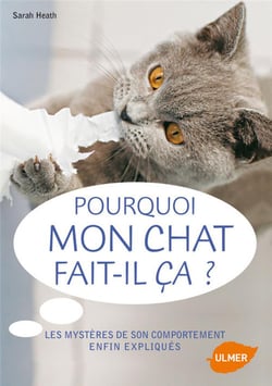 Pourquoi Mon Chat Fait-Il Ca? Les Mysteres De Son Comportement Enfin Expliques