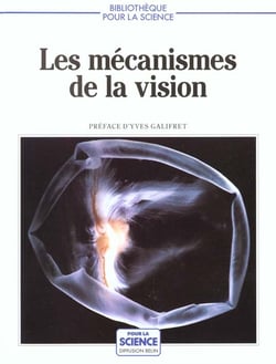 Mecanismes de la vision
