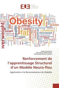 Renforcement de l'apprentissage structurel d'un modele neuro-flou - application a la reconnaissance