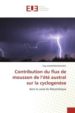 Contribution du flux de mousson de l'été austral sur la cyclogenèse : dans le canal de Mozambique