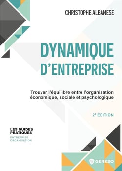 Dynamique d'entreprise : Trouver l'équilibre entre l'organisation économique, sociale et psychologique (2e édition)