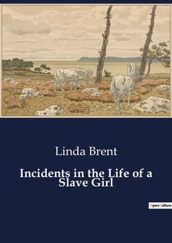 Incidents in the Life of a Slave Girl : The Struggles and Resilience of a Slave Girl
