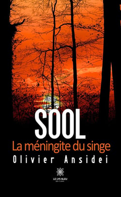 Sool