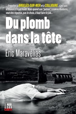 Du Plomb dans la tête
