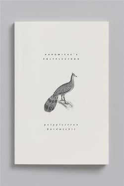 Carnet animal aquatique - éperonnier malais