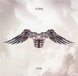 Icarus falls - CD
