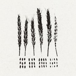 The Gleaners - CD