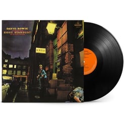 Rise & fall of Ziggy Stardust