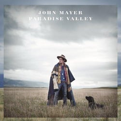 Paradise valley - Vinyle