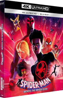 Spider-Man : Across the Spider-Verse