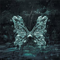 Chaos Butterfly