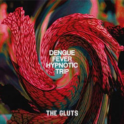 Dengue fever hypnotic trip