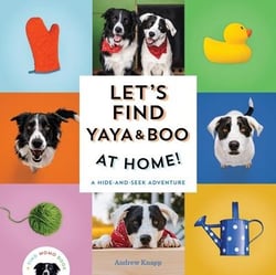 Let's find Yaya and Boo at home!