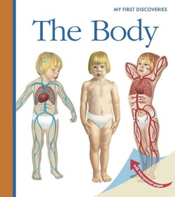 Body