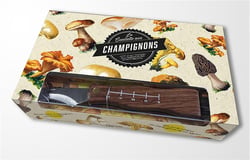 La cueillette des champignons