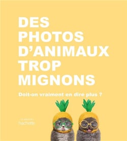 Des photos d'animaux trop mignons - doit-on vraiment en dire plus ?