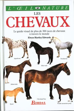 Les chevaux