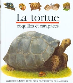 La tortue