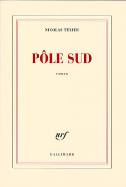 Pôle sud