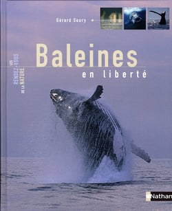 Baleines en liberté
