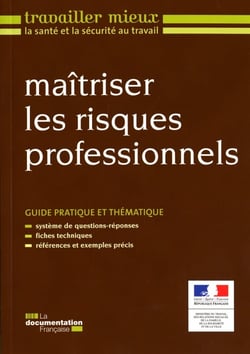 Maîtriser les risques professionnels - guide pratique et thématique