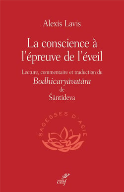 La conscience à l'épreuve de l'éveil