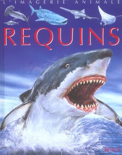 Les requins