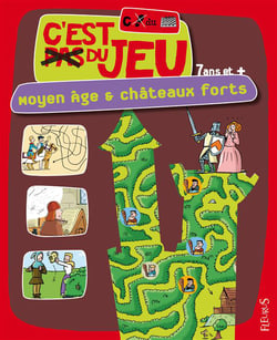 Moyen-âge et châteaux forts