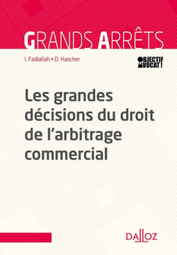 Les grandes décisions de la jurisprudence française