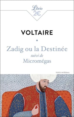 Zadig ou la destinée : suivi de Micromégas