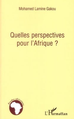 Quelles perspectives pour l'afrique ?