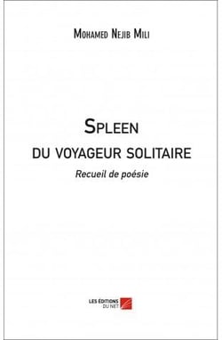 Spleen du voyageur solitaire