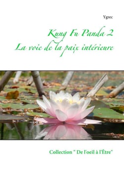 Kung fu panda t.2 - la voie de la paix intérieure