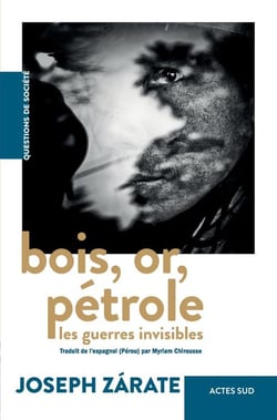 Bois, or, pétrole : Les guerres invisibles
