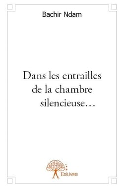 Dans les entrailles de la chambre silencieuse...